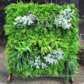 Where to buy natural fresh PE outdoor vertical garden with foliage